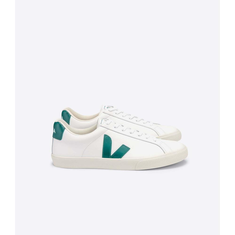 Veja ESPLAR LEATHER Men\'s Sneakers White/Green | NZ 305ZUT